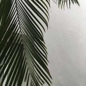 Meet your Posher, Aryka